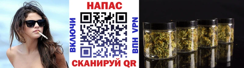blacksprut ссылка  Нытва  Бошки Шишки семена  мориарти формула  дарнет шоп 